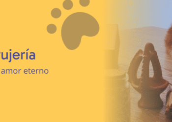 Gatos y brujería: de la superstición al amor eterno