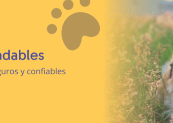 Cómo elegir servicios pet friendly seguros y confiables